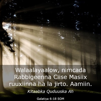 Picture 03 - Galatiya 6:18 SOM - Walaalayaalow, nimcada Rabbigeenna Ciise Masiix - Bible Verse Picture