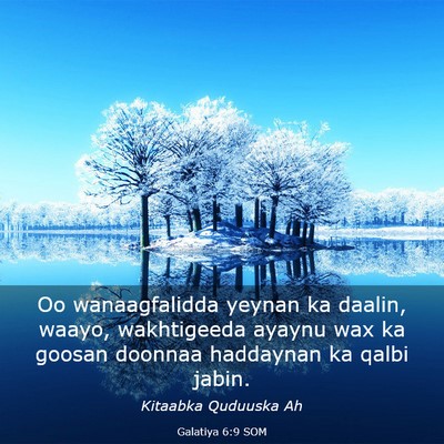 Picture 03 - Galatiya 6:9 SOM - Oo wanaagfalidda yeynan ka daalin, waayo, - Bible Verse Picture