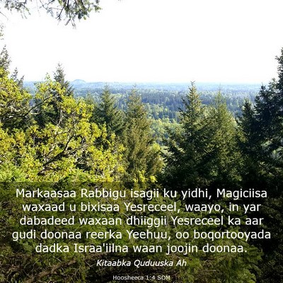 Picture 03 - Hoosheeca 1:4 SOM - Markaasaa Rabbigu isagii ku yidhi, Magiciisa - Bible Verse Picture