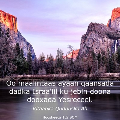 Picture 03 - Hoosheeca 1:5 SOM - Oo maalintaas ayaan qaansada dadka Israa'iil ku - Bible Verse Picture