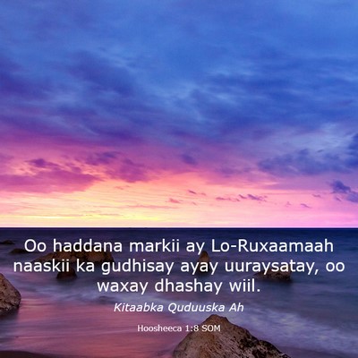 Picture 03 - Hoosheeca 1:8 SOM - Oo haddana markii ay Lo-Ruxaamaah naaskii ka - Bible Verse Picture