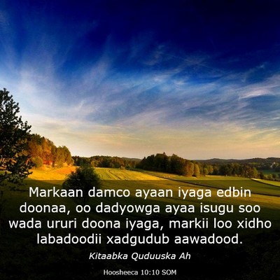 Picture 03 - Hoosheeca 10:10 SOM - Markaan damco ayaan iyaga edbin doonaa, oo - Bible Verse Picture