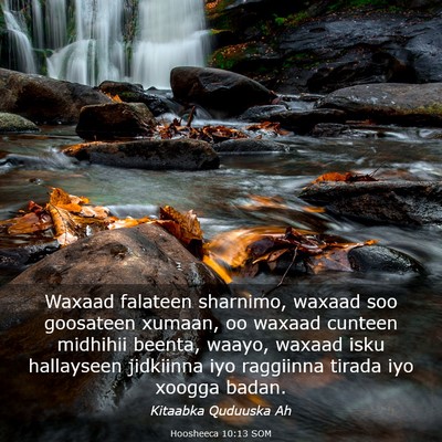 Picture 03 - Hoosheeca 10:13 SOM - Waxaad falateen sharnimo, waxaad soo goosateen - Bible Verse Picture
