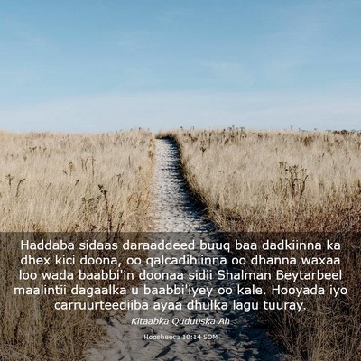 Picture 03 - Hoosheeca 10:14 SOM - Haddaba sidaas daraaddeed buuq baa dadkiinna ka - Bible Verse Picture