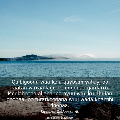Picture 03 - Hoosheeca 10:2 SOM - Qalbigoodu waa kala qaybsan yahay, oo haatan - Bible Verse Picture