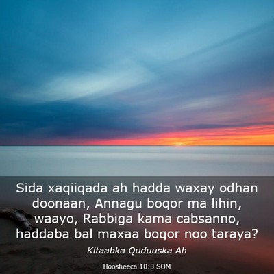 Picture 03 - Hoosheeca 10:3 SOM - Sida xaqiiqada ah hadda waxay odhan doonaan, - Bible Verse Picture