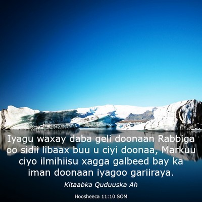 Picture 03 - Hoosheeca 11:10 SOM - Iyagu waxay daba geli doonaan Rabbiga oo sidii - Bible Verse Picture
