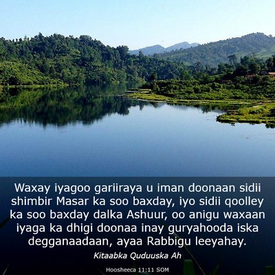 Picture 03 - Hoosheeca 11:11 SOM - Waxay iyagoo gariiraya u iman doonaan sidii - Bible Verse Picture