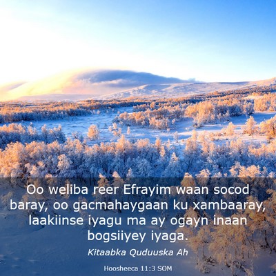 Picture 03 - Hoosheeca 11:3 SOM - Oo weliba reer Efrayim waan socod baray, oo - Bible Verse Picture
