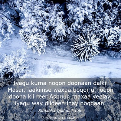 Picture 03 - Hoosheeca 11:5 SOM - Iyagu kuma noqon doonaan dalkii Masar, laakiinse - Bible Verse Picture