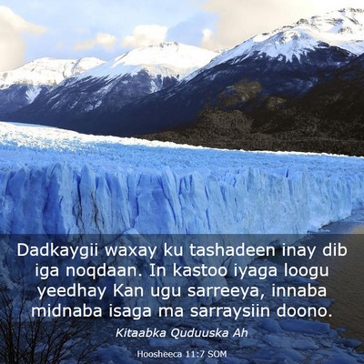 Picture 03 - Hoosheeca 11:7 SOM - Dadkaygii waxay ku tashadeen inay dib iga - Bible Verse Picture