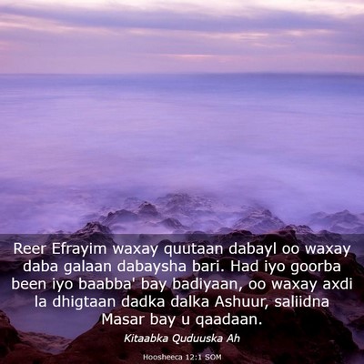 Picture 03 - Hoosheeca 12:1 SOM - Reer Efrayim waxay quutaan dabayl oo waxay daba - Bible Verse Picture