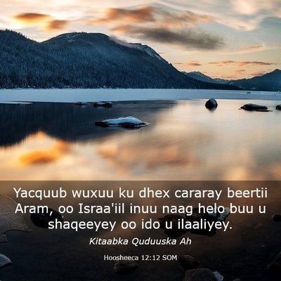 Picture 03 - Hoosheeca 12:12 SOM - Yacquub wuxuu ku dhex cararay beertii Aram, oo - Bible Verse Picture