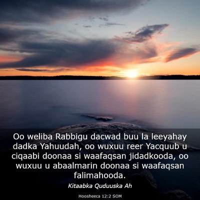 Picture 03 - Hoosheeca 12:2 SOM - Oo weliba Rabbigu dacwad buu la leeyahay dadka - Bible Verse Picture
