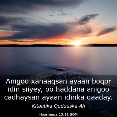 Picture 03 - Hoosheeca 13:11 SOM - Anigoo xanaaqsan ayaan boqor idin siiyey, oo - Bible Verse Picture