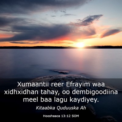 Picture 03 - Hoosheeca 13:12 SOM - Xumaantii reer Efrayim waa xidhxidhan tahay, oo - Bible Verse Picture