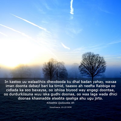 Picture 03 - Hoosheeca 13:15 SOM - In kastoo uu walaalihiis dhexdooda ku dhal badan - Bible Verse Picture