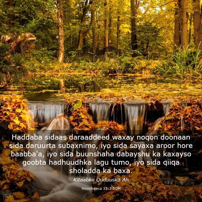 Picture 03 - Hoosheeca 13:3 SOM - Haddaba sidaas daraaddeed waxay noqon doonaan - Bible Verse Picture