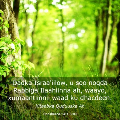 Picture 03 - Hoosheeca 14:1 SOM - Dadka Israa'iilow, u soo noqda Rabbiga Ilaahiinna - Bible Verse Picture