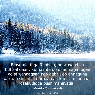 Picture 03 - Hoosheeca 14:2 SOM - Erayo ula taga Rabbiga, oo waxaad ku tidhaahdaan, - Bible Verse Picture