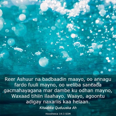 Picture 03 - Hoosheeca 14:3 SOM - Reer Ashuur na badbaadin maayo, oo annagu fardo - Bible Verse Picture