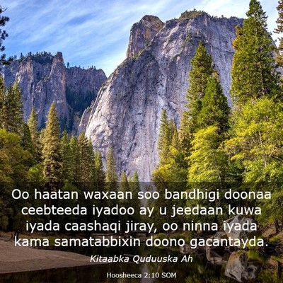 Picture 03 - Hoosheeca 2:10 SOM - Oo haatan waxaan soo bandhigi doonaa ceebteeda - Bible Verse Picture