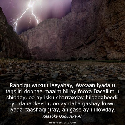 Picture 03 - Hoosheeca 2:13 SOM - Rabbigu wuxuu leeyahay, Waxaan iyada u taqsiiri - Bible Verse Picture