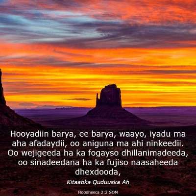 Picture 03 - Hoosheeca 2:2 SOM - Hooyadiin barya, ee barya, waayo, iyadu ma aha - Bible Verse Picture