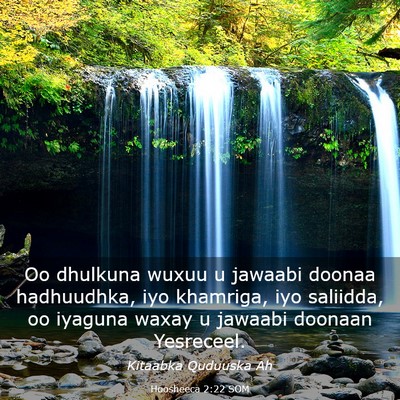 Picture 03 - Hoosheeca 2:22 SOM - Oo dhulkuna wuxuu u jawaabi doonaa hadhuudhka, - Bible Verse Picture