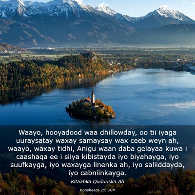 Picture 03 - Hoosheeca 2:5 SOM - Waayo, hooyadood waa dhillowday, oo tii iyaga - Bible Verse Picture