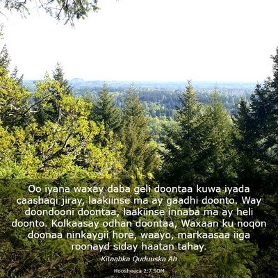 Picture 03 - Hoosheeca 2:7 SOM - Oo iyana waxay daba geli doontaa kuwa iyada - Bible Verse Picture