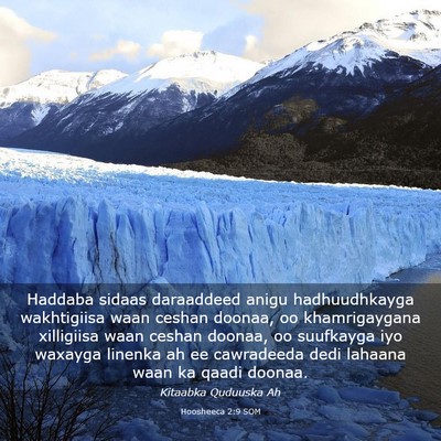 Picture 03 - Hoosheeca 2:9 SOM - Haddaba sidaas daraaddeed anigu hadhuudhkayga - Bible Verse Picture