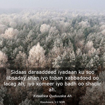 Picture 03 - Hoosheeca 3:2 SOM - Sidaas daraaddeed iyadaan ku soo iibsaday shan - Bible Verse Picture