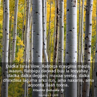 Picture 03 - Hoosheeca 4:1 SOM - Dadka Israa'iilow, Rabbiga eraygiisa maqla, - Bible Verse Picture