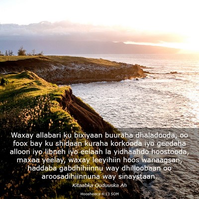 Picture 03 - Hoosheeca 4:13 SOM - Waxay allabari ku bixiyaan buuraha dhaladooda, oo - Bible Verse Picture