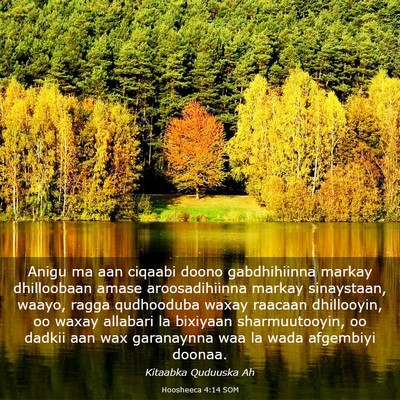 Picture 03 - Hoosheeca 4:14 SOM - Anigu ma aan ciqaabi doono gabdhihiinna markay - Bible Verse Picture