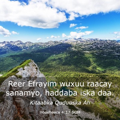 Picture 03 - Hoosheeca 4:17 SOM - Reer Efrayim wuxuu raacay sanamyo, haddaba iska - Bible Verse Picture