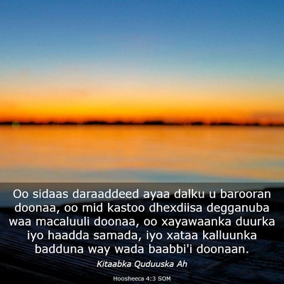 Picture 03 - Hoosheeca 4:3 SOM - Oo sidaas daraaddeed ayaa dalku u barooran - Bible Verse Picture