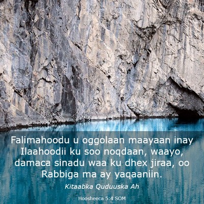 Picture 03 - Hoosheeca 5:4 SOM - Falimahoodu u oggolaan maayaan inay Ilaahoodii ku - Bible Verse Picture