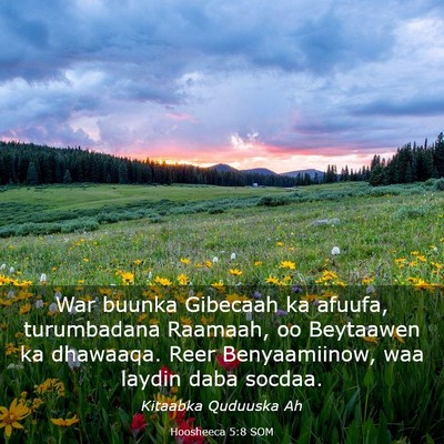 Picture 03 - Hoosheeca 5:8 SOM - War buunka Gibecaah ka afuufa, turumbadana - Bible Verse Picture