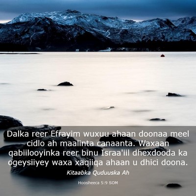 Picture 03 - Hoosheeca 5:9 SOM - Dalka reer Efrayim wuxuu ahaan doonaa meel cidlo - Bible Verse Picture
