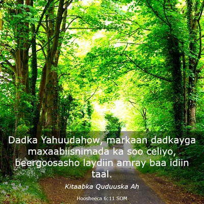 Picture 03 - Hoosheeca 6:11 SOM - Dadka Yahuudahow, markaan dadkayga - Bible Verse Picture