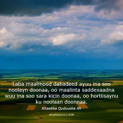 Picture 03 - Hoosheeca 6:2 SOM - Laba maalmood dabadeed ayuu ina soo noolayn - Bible Verse Picture