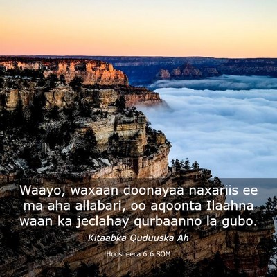 Picture 03 - Hoosheeca 6:6 SOM - Waayo, waxaan doonayaa naxariis ee ma aha - Bible Verse Picture