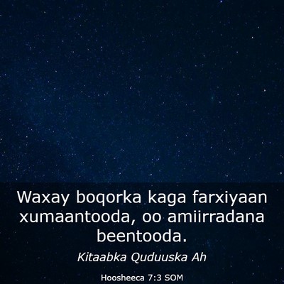Picture 03 - Hoosheeca 7:3 SOM - Waxay boqorka kaga farxiyaan xumaantooda, oo - Bible Verse Picture