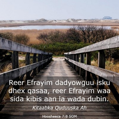 Picture 03 - Hoosheeca 7:8 SOM - Reer Efrayim dadyowguu isku dhex qasaa, reer - Bible Verse Picture