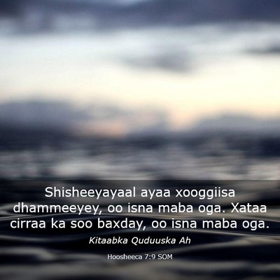 Picture 03 - Hoosheeca 7:9 SOM - Shisheeyayaal ayaa xooggiisa dhammeeyey, oo isna - Bible Verse Picture