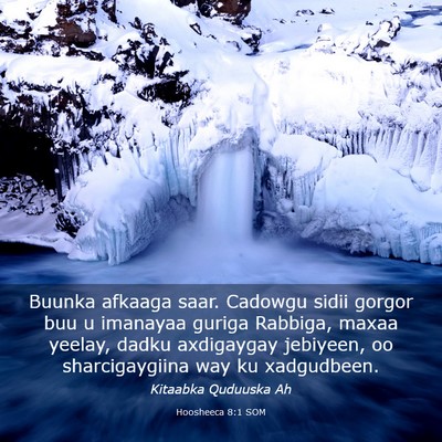 Picture 03 - Hoosheeca 8:1 SOM - Buunka afkaaga saar. Cadowgu sidii gorgor buu u - Bible Verse Picture