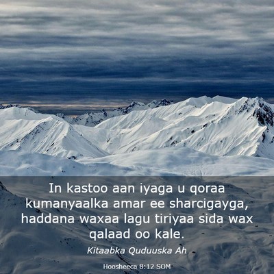 Picture 03 - Hoosheeca 8:12 SOM - In kastoo aan iyaga u qoraa kumanyaalka amar ee - Bible Verse Picture