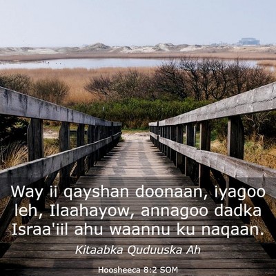 Picture 03 - Hoosheeca 8:2 SOM - Way ii qayshan doonaan, iyagoo leh, Ilaahayow, - Bible Verse Picture